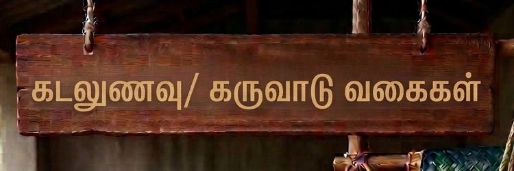 Static Banner